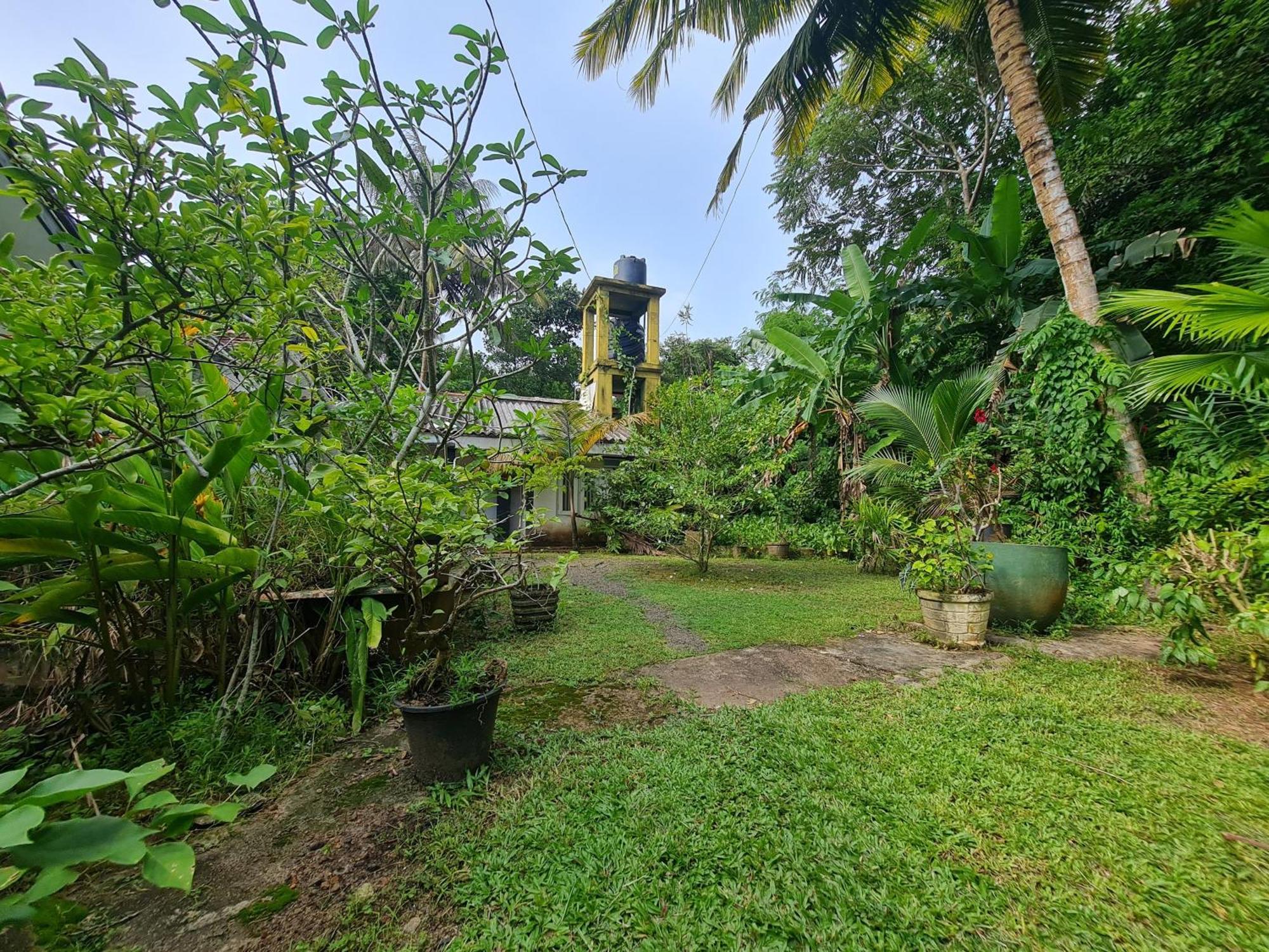 Hill Side Kings Villa Hikkaduwa Extérieur photo