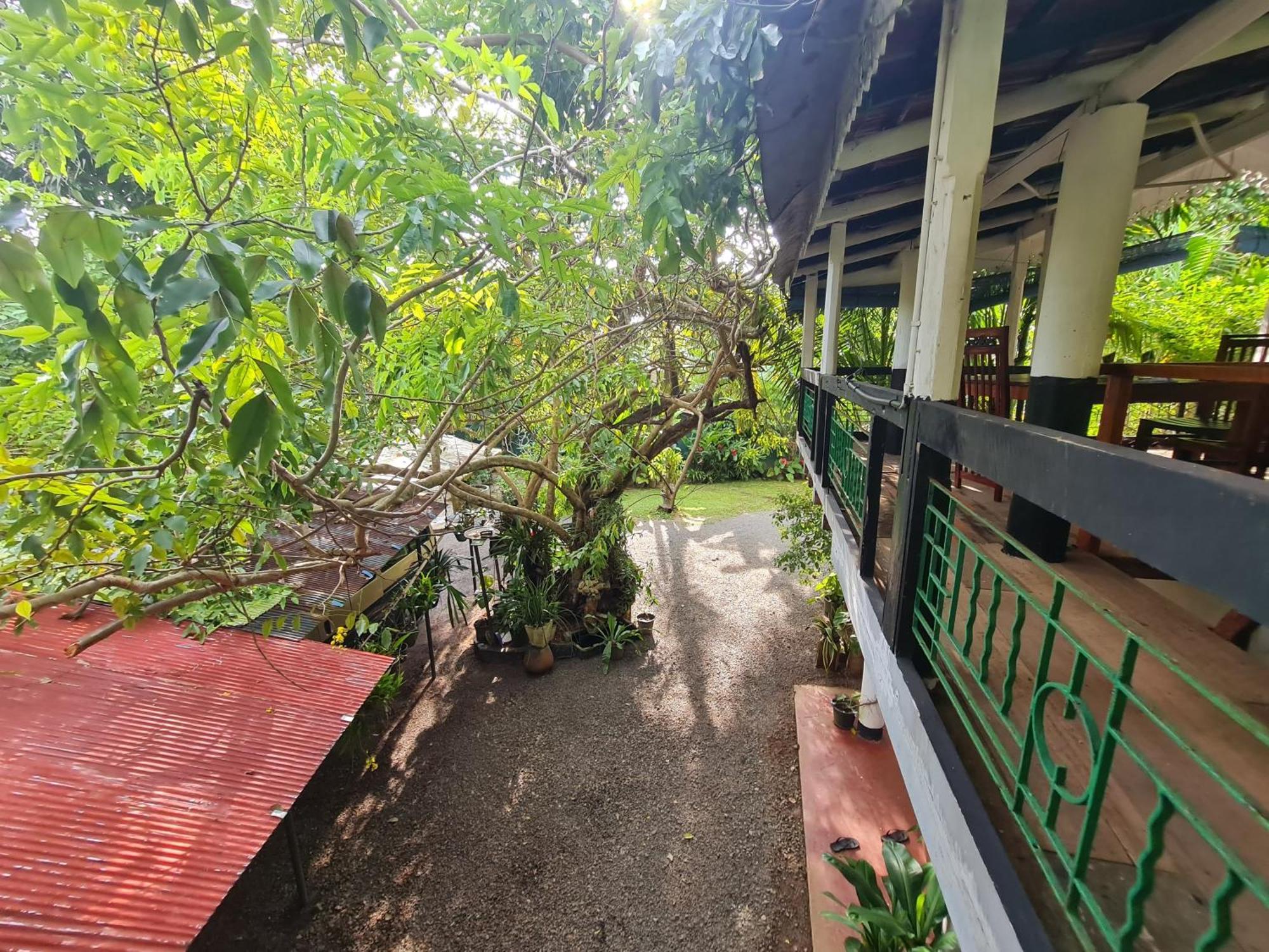 Hill Side Kings Villa Hikkaduwa Extérieur photo