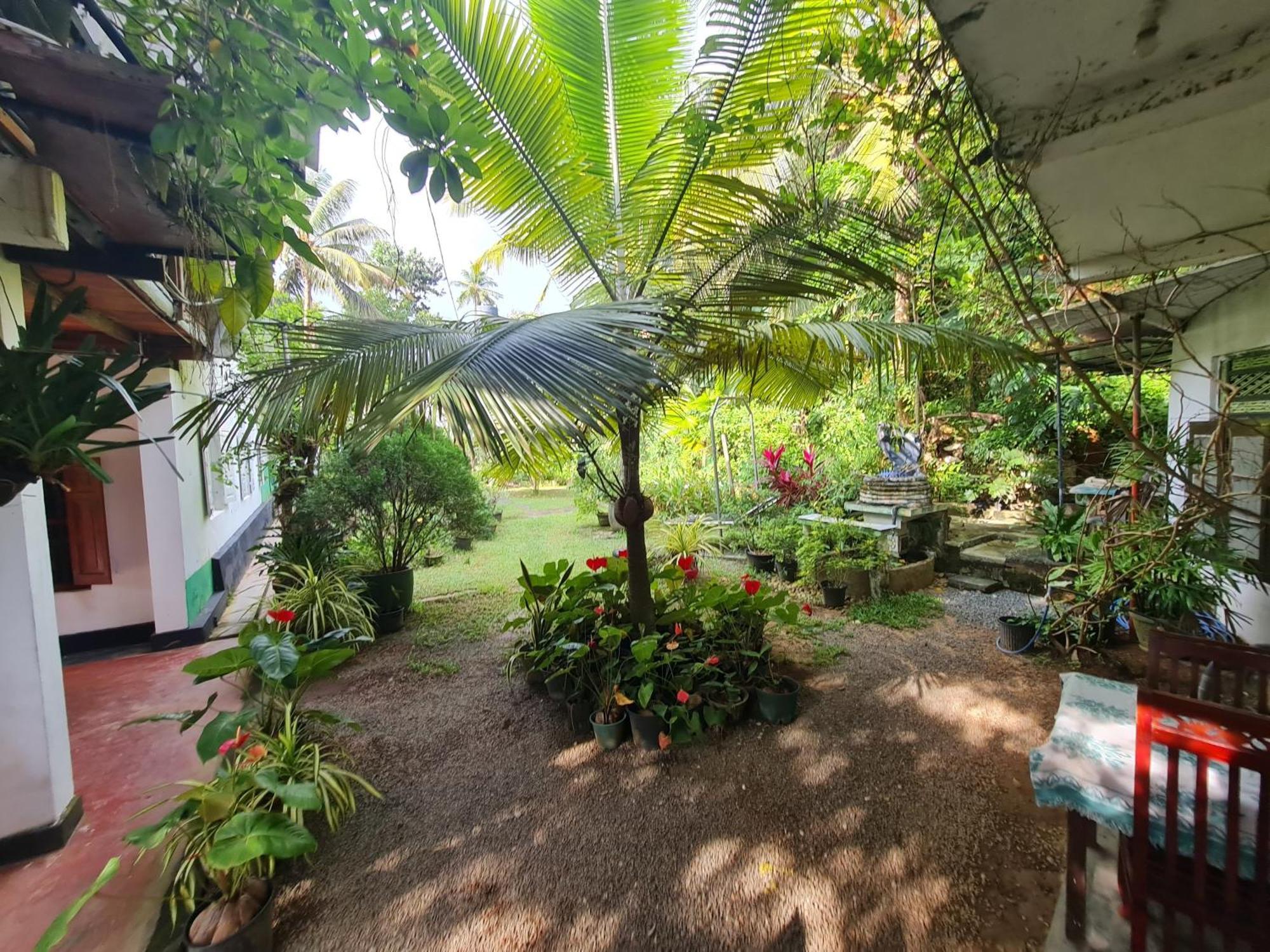 Hill Side Kings Villa Hikkaduwa Extérieur photo