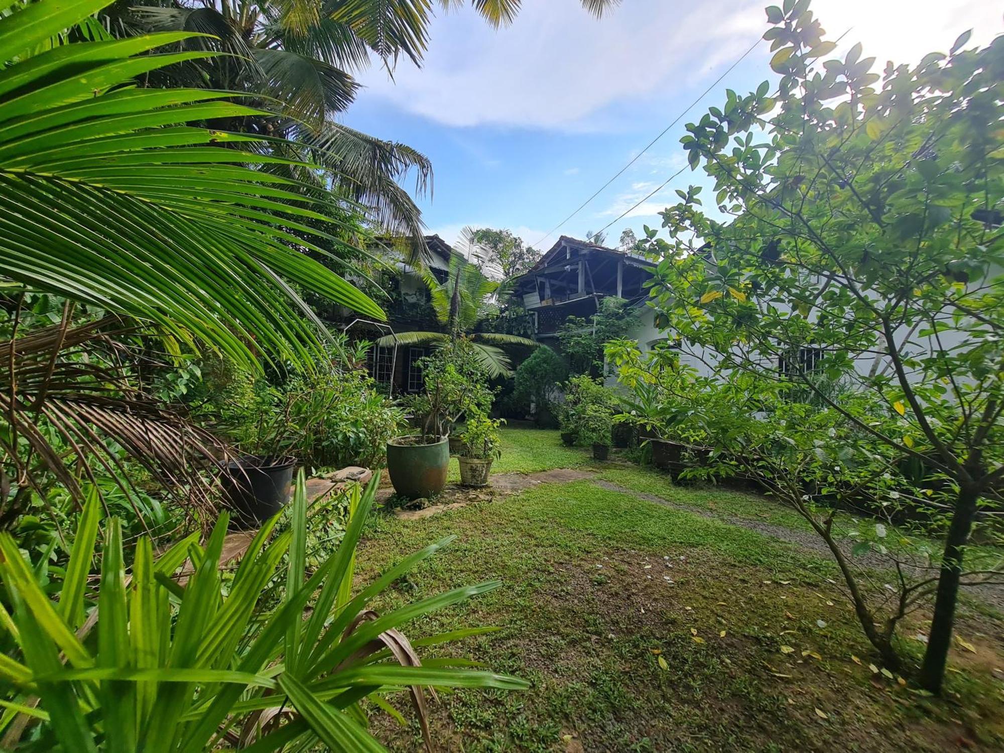 Hill Side Kings Villa Hikkaduwa Extérieur photo