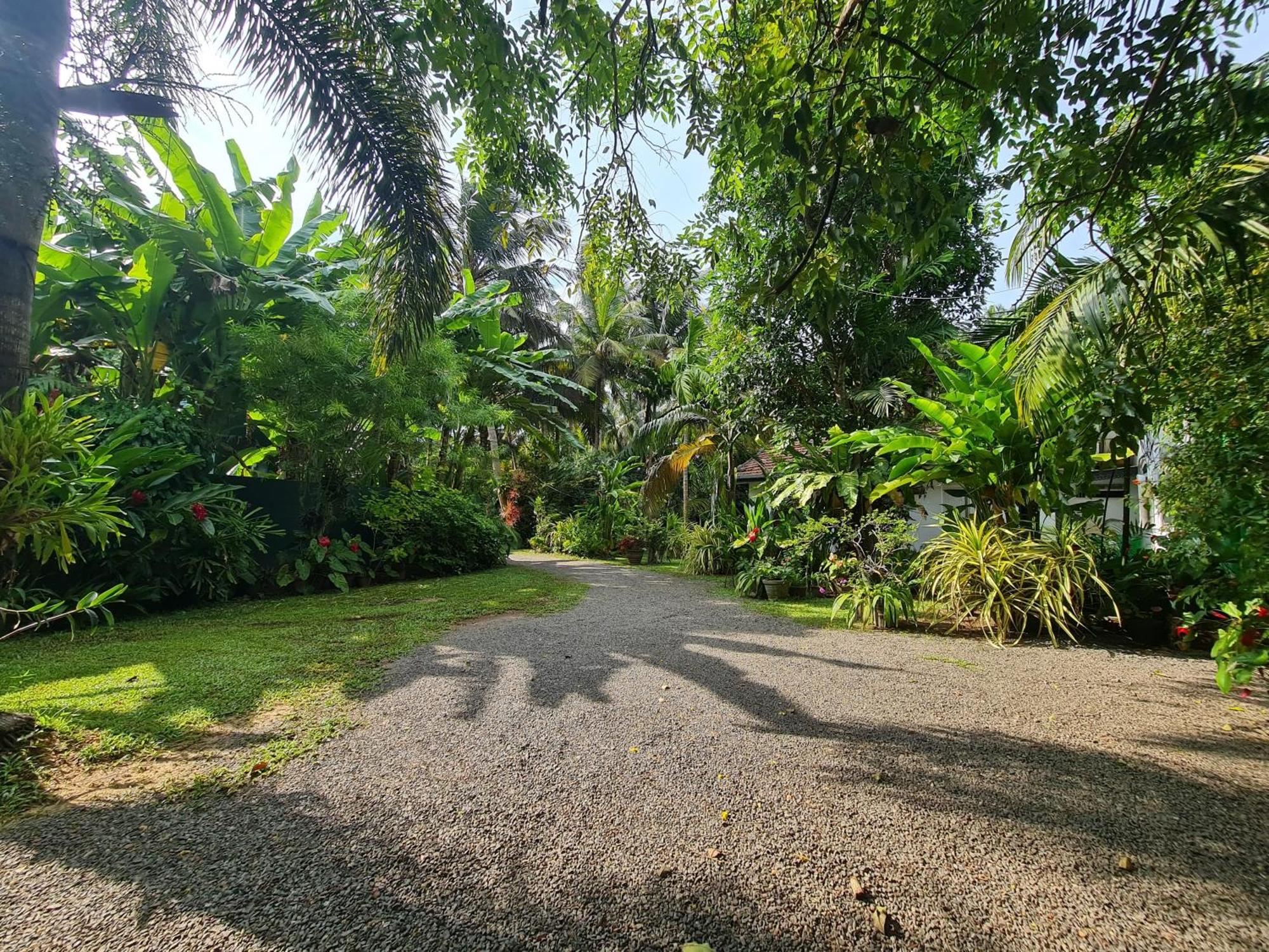 Hill Side Kings Villa Hikkaduwa Extérieur photo
