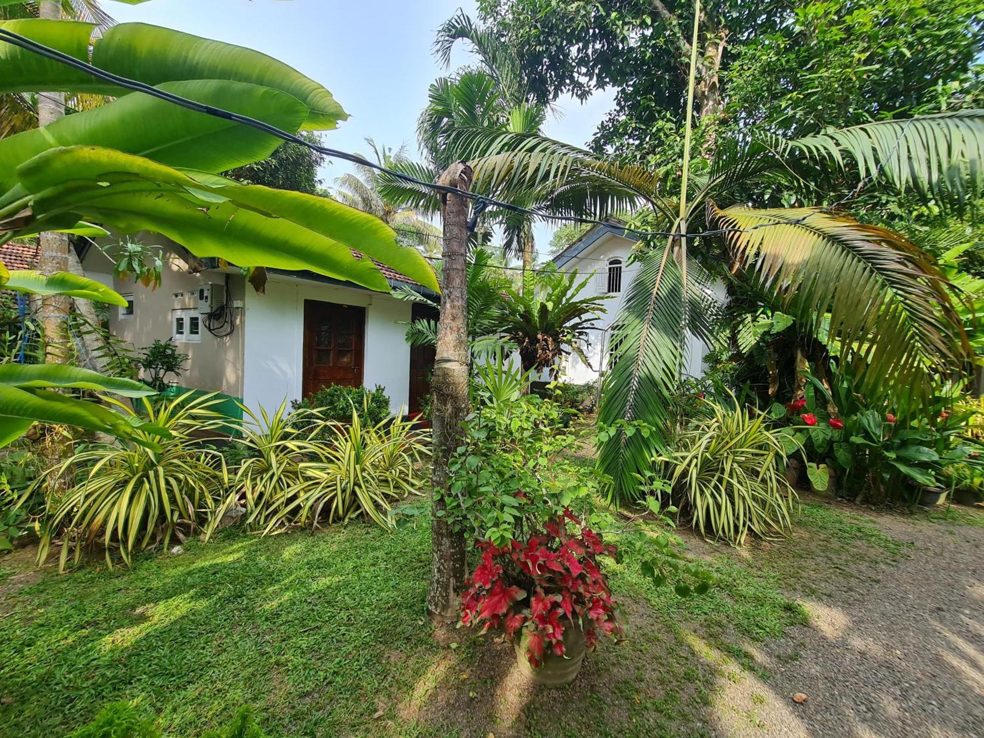 Hill Side Kings Villa Hikkaduwa Extérieur photo