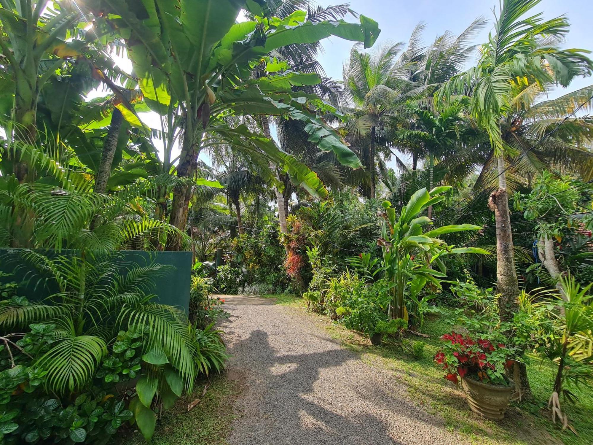 Hill Side Kings Villa Hikkaduwa Extérieur photo