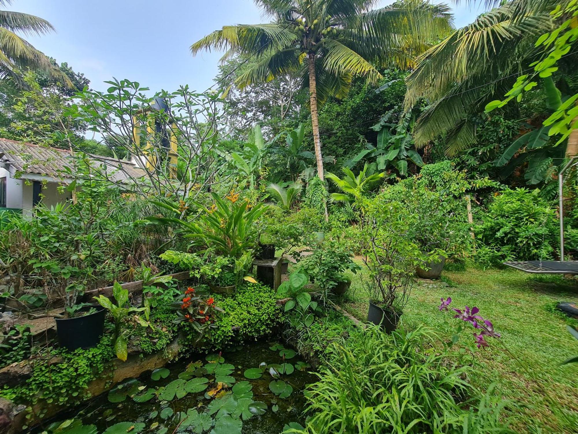 Hill Side Kings Villa Hikkaduwa Extérieur photo